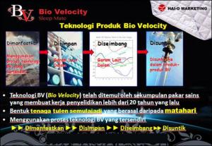 Bio-Velocity-Sleep-Mate-2